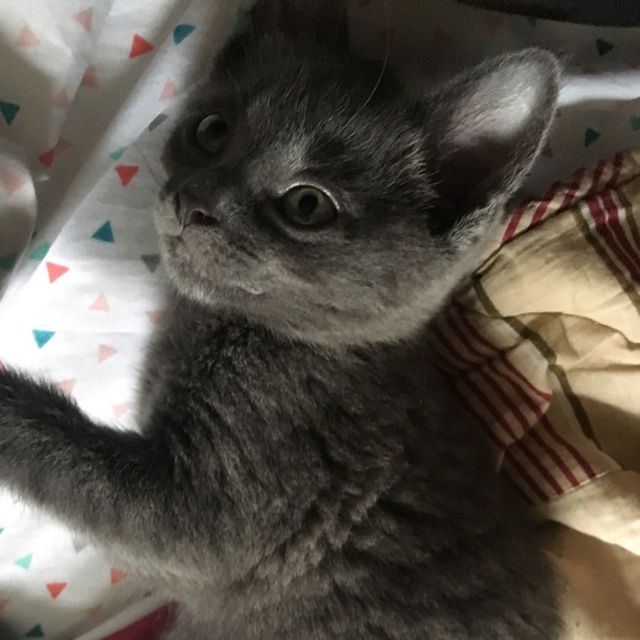 I'm Sarah your usual broke college student. Help. - Picture 7 of 7